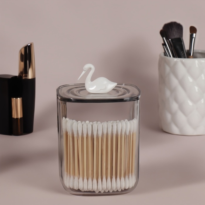 Органайзер для хранения «Пеликан», с крышкой, 9 × 9 × 13,5 см, цвет прозрачный