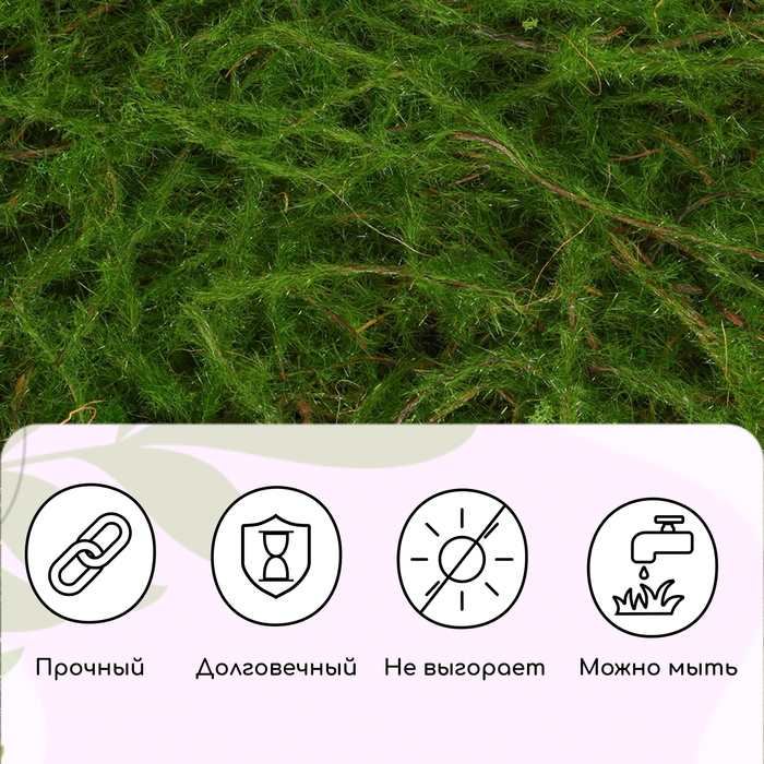 Декоративная панель, 90 × 40 см, «Папоротник», Greengo Декоративная панель, 90 × 40 см, «Папоротник», Greengo