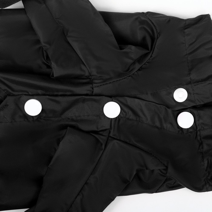 Комбинезон для собак, демисезонный с чехлами на лапы, размер М (ДС 40, Ог 32), чёрный Комбинезон для собак, демисезонный с чехлами на лапы, размер М (ДС 40, Ог 32), чёрный