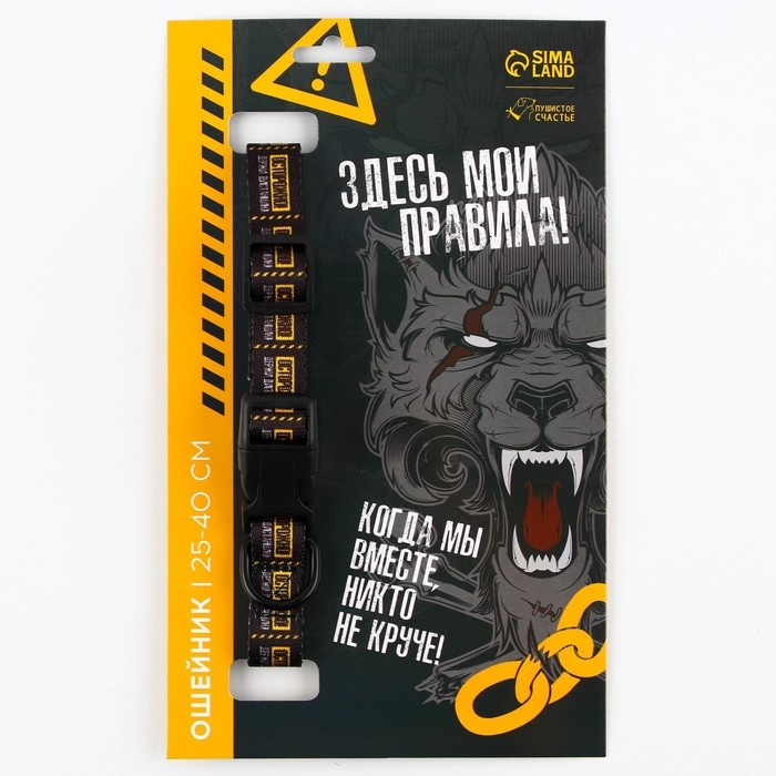 Ошейник «Осторожно», застёжка - фастекс, 2 см 25-40 см Ошейник «Осторожно», застёжка - фастекс, 2 см 25-40 см
