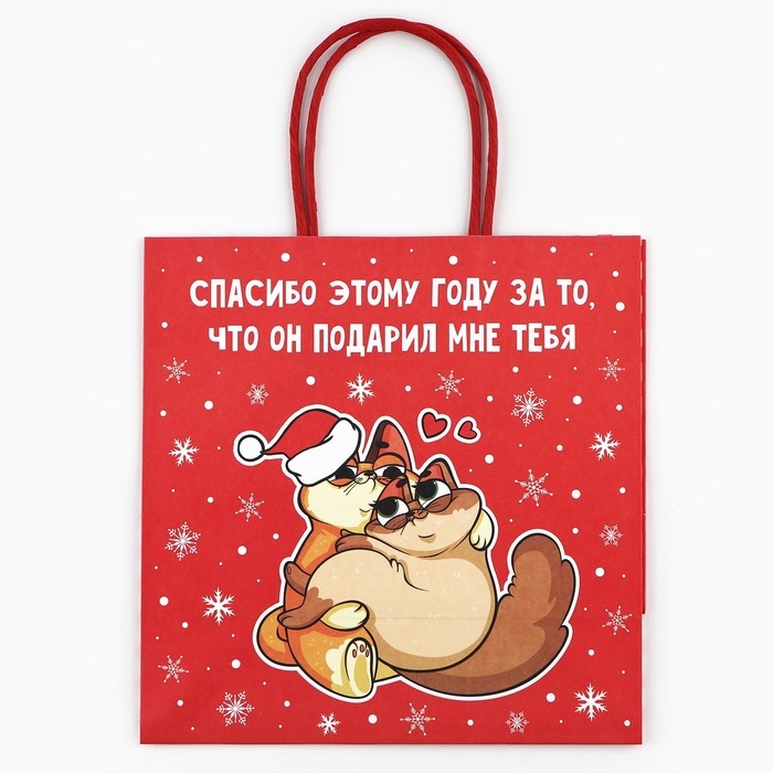 Пакет подарочный новогодний «Спасибо этому году», 22 х 22 х 11 см Пакет подарочный новогодний «Спасибо этому году», 22 х 22 х 11 см