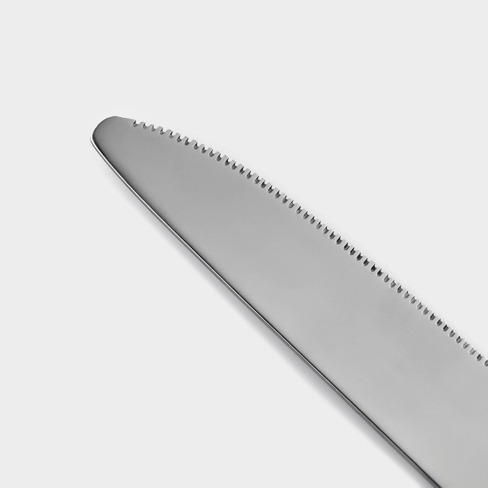 Столовые приборы из нержавеющей стали «Стандарт», картонная коробка, толщина 2 мм, 36 предметов, цвет серебряный Столовые приборы из нержавеющей стали «Стандарт», картонная коробка, толщина 2 мм, 36 предметов, цвет серебряный