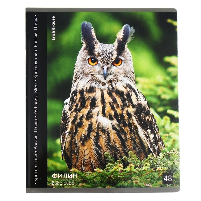 Тетрадь 48 листов в клетку, ErichKrause Тетрадь 48 листов в клетку, ErichKrause "Красная книга России. Птицы", обложка мелованный картон, глянцевая ламинация, блок офсет 100% белизна, МИКС