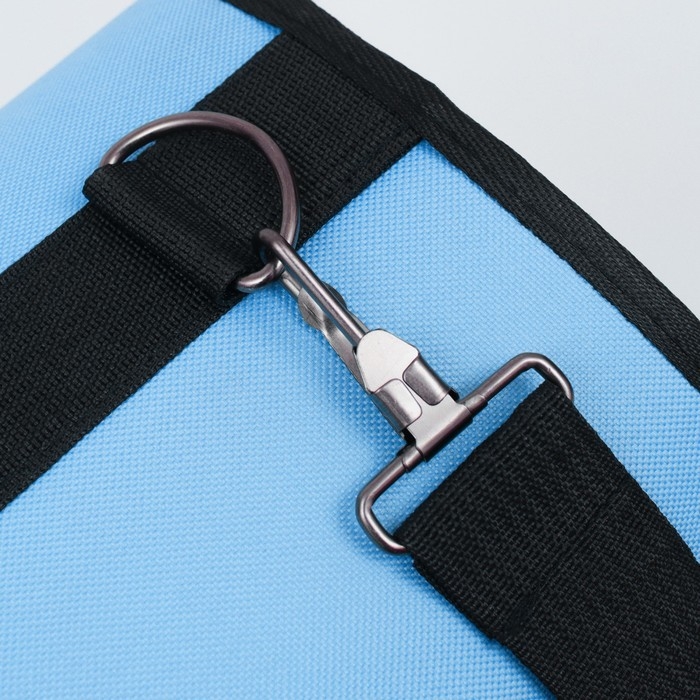 Сумка-переноска с окном для мордочки, 42 х 21 х 25 см, голубая Сумка-переноска с окном для мордочки, 42 х 21 х 25 см, голубая