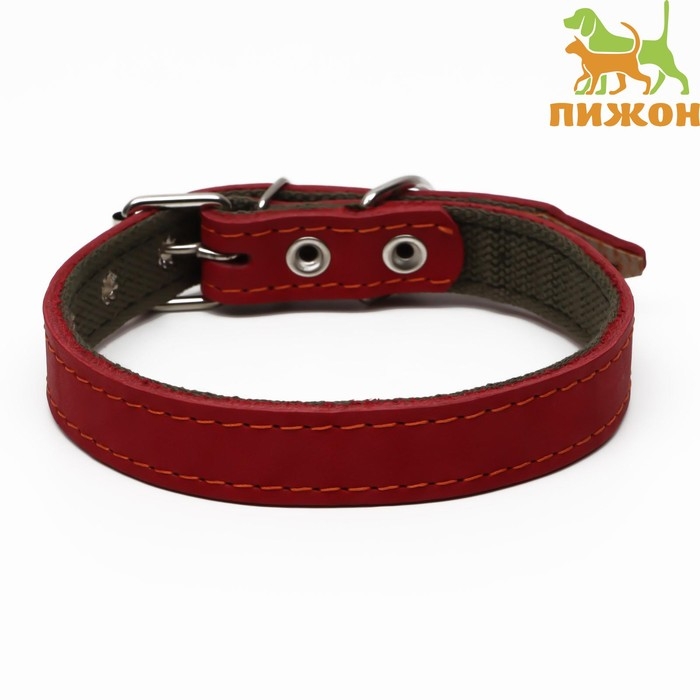 Ошейник комбинированный кожа/брезент, 53 х 2.5 см, ОШ 35-45 см, красный Ошейник комбинированный кожа/брезент, 53 х 2.5 см, ОШ 35-45 см, красный
