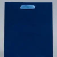 Пакет подарочный ламинированный &laquo;Синий&raquo;, 18&times;23&times;10 см