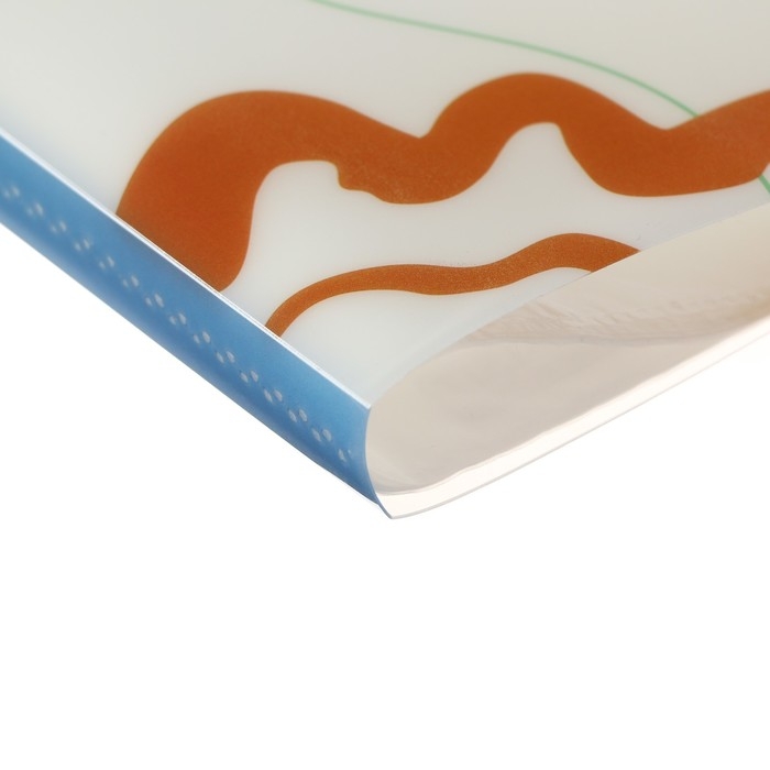 Папка формат А4, с 40 прозрачными файлами Папка формат А4, с 40 прозрачными файлами "Зверята", МИКС