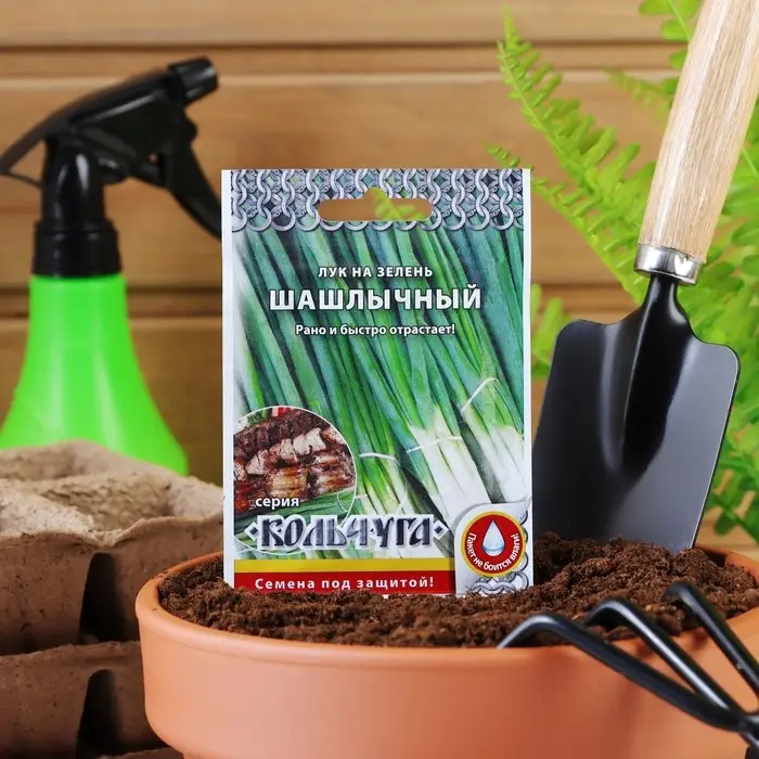 Семена Лук на зелень Семена Лук на зелень "Шашлычный" серия Кольчуга, 1 г