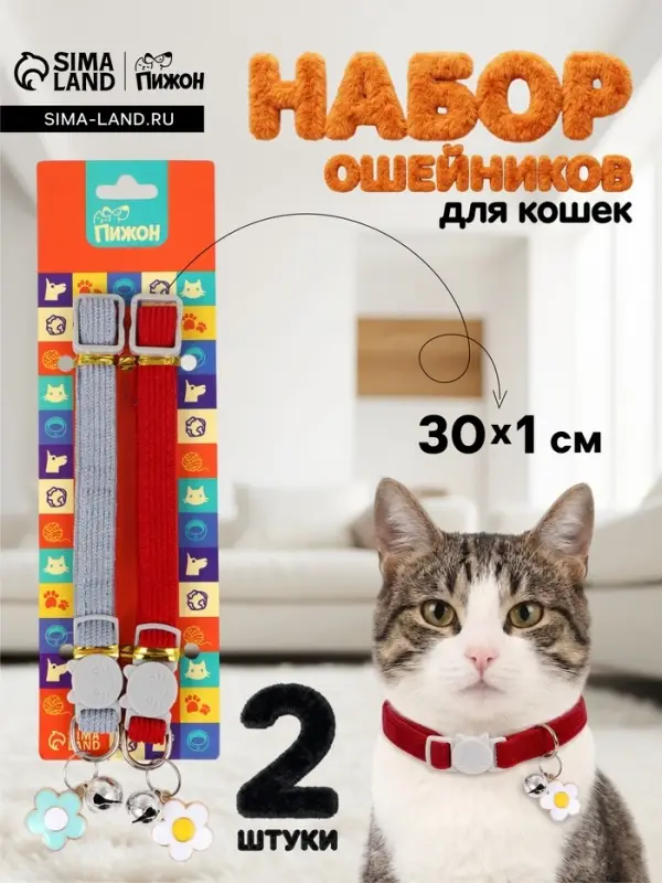 Набор ошейников для кошек &laquo;Пижон&raquo;, 30&times;1 см, серый, красный