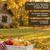 Корзина плетёная для хранения, 37&times;15&times;10 см, лоза, белая
