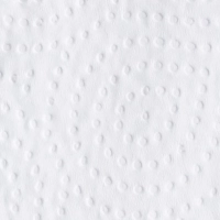 Полотенца бумажные д/дисп. FOCUS Premium Z-сл 2 сл 24х21,5см 200л/20пач/уп