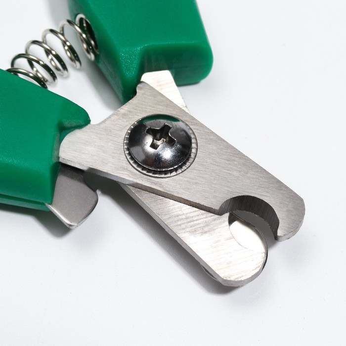 Когтерез боковой малый с нескользящими ручками, отверстие 9 мм, зелёный с серым Когтерез боковой малый с нескользящими ручками, отверстие 9 мм, зелёный с серым