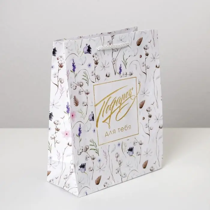 Пакет подарочный ламинированный, упаковка, &laquo;Gift for you&raquo;, MS 18 х 23 х 8 см