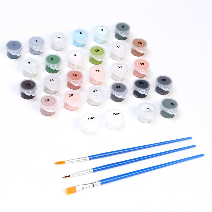 Картина по номерам на холсте с подрамником «Девушка в Амстердаме», 40 х 50 см