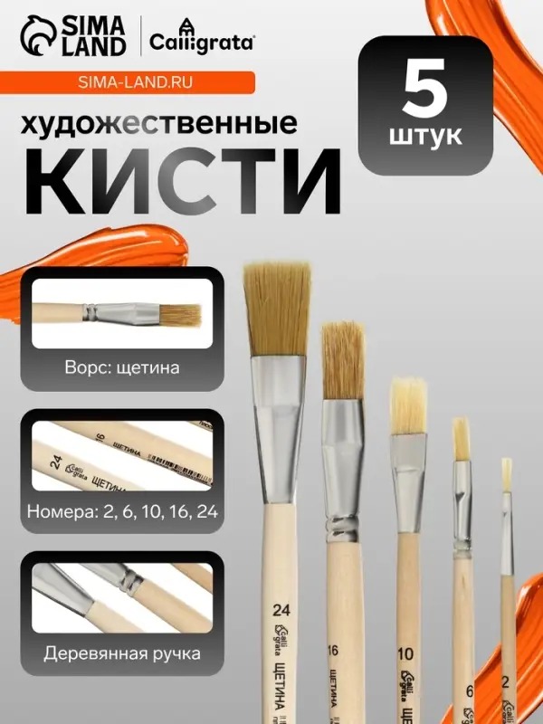 Набор кистей для рисования, щетина, 5 штук: №: 2, 6, 10, 16, 24, Calligrata, плоские, деревянная ручка, в пакете