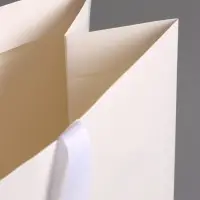 Пакет подарочный ламинированный горизонтальный &laquo;Белый&raquo;, 48&times;39&times;16 см