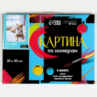 Картина по номерам на холсте с подрамником «Пёс на ковре», 40х30 см