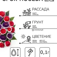 Семена цветов Астра &laquo;Махровые мячи&raquo; смесь сортов, однолетник, 0.1 г, &laquo;Аэлита&raquo;