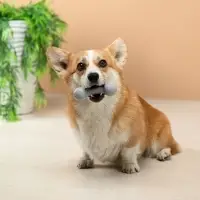 VETTA Игрушка для домашних животных, ТПР, 12 см