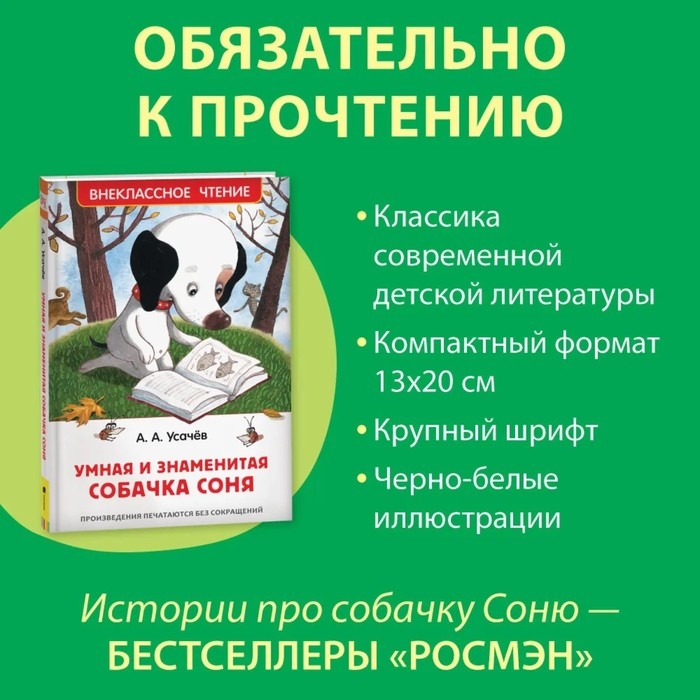 Внеклассное чтение «Умная и знаменитая собачка Соня», Усачев А. Внеклассное чтение «Умная и знаменитая собачка Соня», Усачев А.