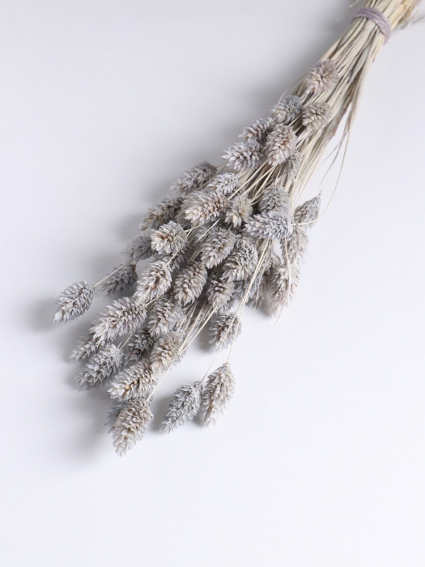 Набор сухоцветов "Фаларис", банч длина 55 (+/- 6 см), голубой