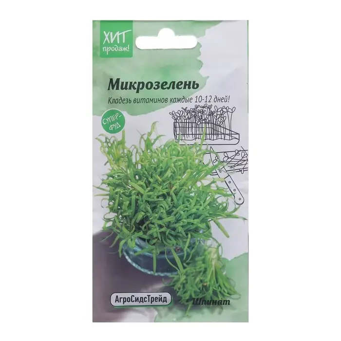 Семена Микрозелень  Семена Микрозелень "Шпинат", 5 г