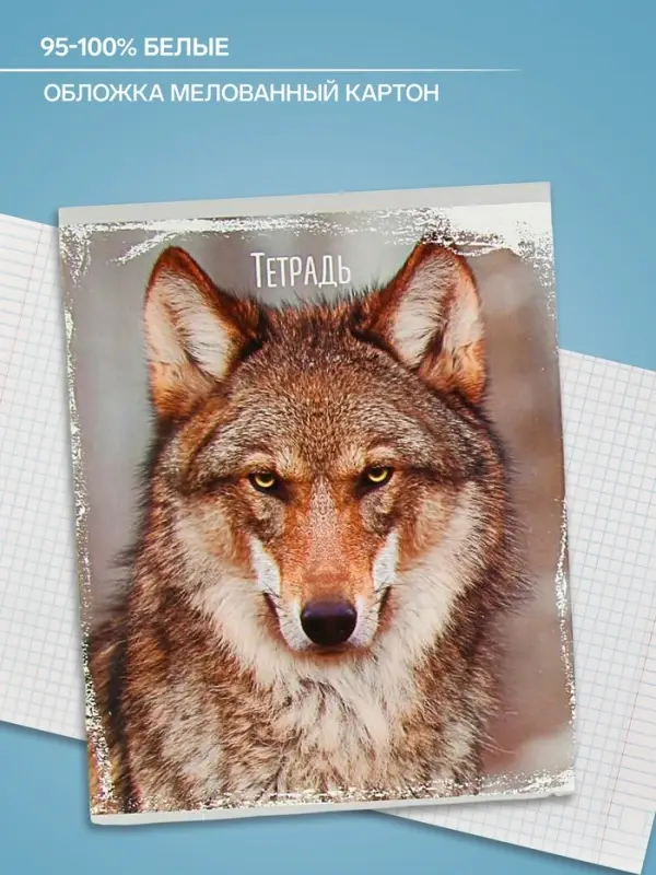Тетрадь 48 листов в клетку, Calligrata &laquo;Дикие животные&raquo;, МИКС