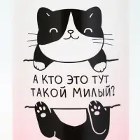 Бутылка для воды «Котя», 300 мл