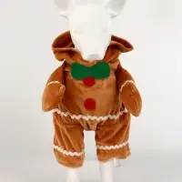 Костюм "Новогодняя печенька", M (ДС 25 , ОГ 37 см)