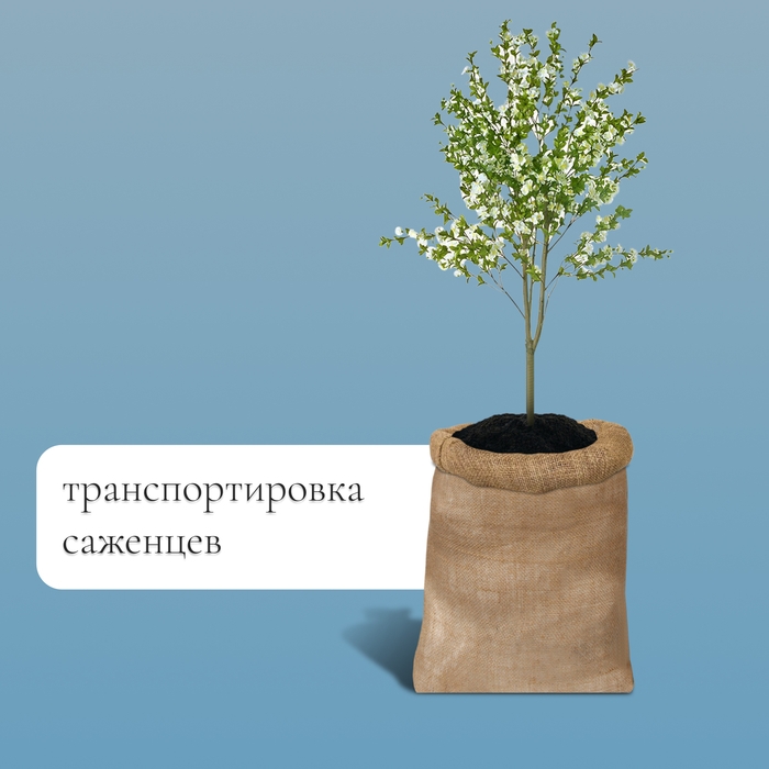 Мешок джутовый, 57 × 90 см, плотность 35 × 35 нитей, без завязок, Greengo Мешок джутовый, 57 × 90 см, плотность 35 × 35 нитей, без завязок, Greengo