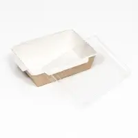 Салатник одноразовый, контейнер с прозрачной крышкой, крафт, 0.5 л, 16&times;12&times;4.5 см