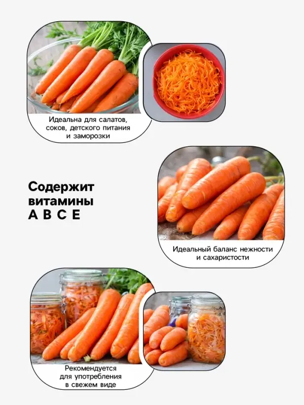 Семена Морковь &laquo;Нантская 4&raquo;, 2 г, &laquo;Аэлита&raquo;