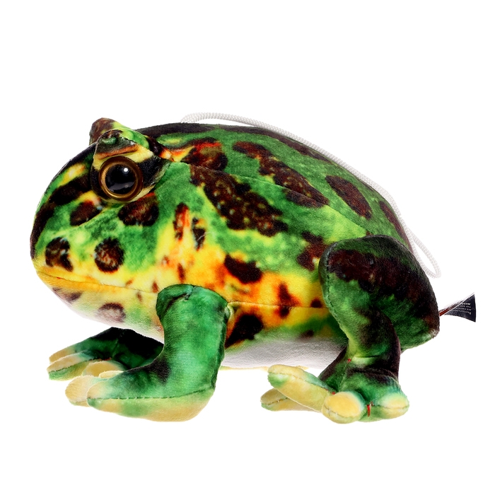 Мягкая игрушка «Лягушка», 17 см Мягкая игрушка «Лягушка», 17 см