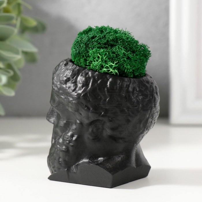 Кашпо бетонное  Кашпо бетонное "Прометей" высота 6,5 см, ширина 5 см черный со мхом (мох зелен. стабил)