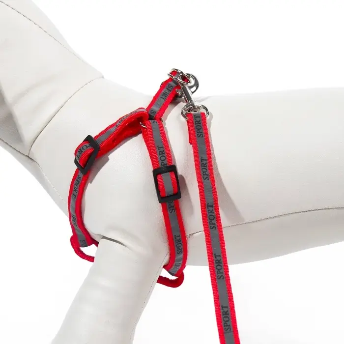 Шлейка с поводком &laquo;Спорт&raquo;, ОГ 23-35 с, ширина 1 см, поводок 120 см, светоотражающий, красная