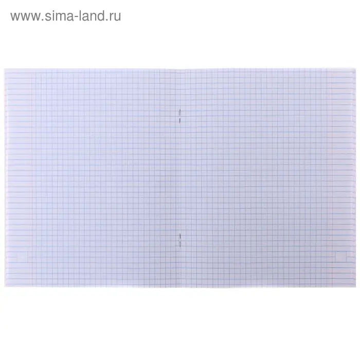 Тетрадь 48 листов в клетку, Calligrata &laquo;Надпись-1&raquo;, МИКС