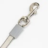 Рулетка - поводок для собак, лента 3 метра, белая, зелёная