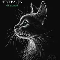 Тетрадь 48л А5ф клетка 60-65г/кв.м на скобе Обл. мел.картон мат.ламин. 3D лак МИКС