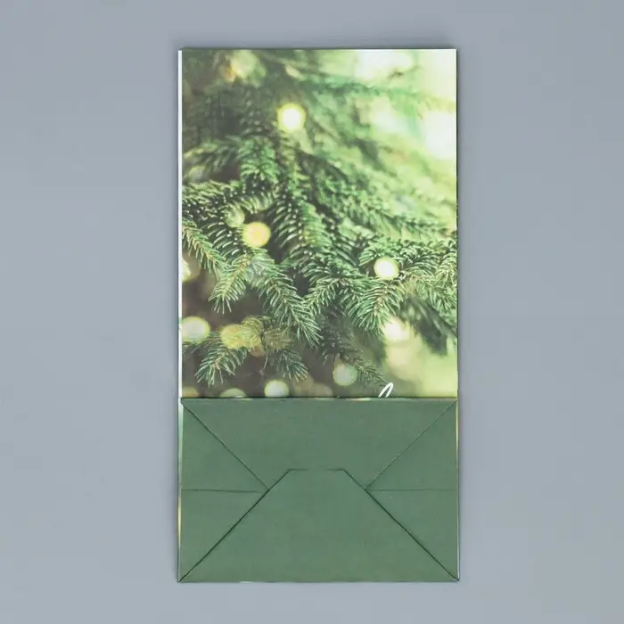 Пакет без ручек «С Новым годом», веточка ели, 10 х 19.5 х 7 см, Новый год Пакет без ручек «С Новым годом», веточка ели, 10 х 19.5 х 7 см, Новый год