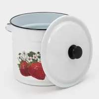 Ведро эмалированное, 10 л, с крышкой и ручкой, белое