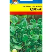 Семена Горчица салатная &laquo;Ядрёная&raquo; 0.5 г