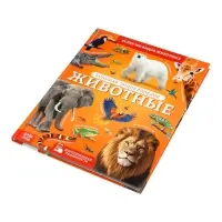 Энциклопедия в твёрдом переплёте "Животные", 128 страниц