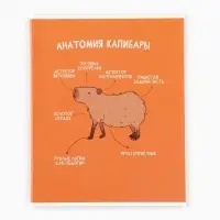 Тетрадь в клетку, 36 л., А5, на скрепке, блок №1 «Капибара» МИКС