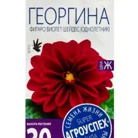 Семена цветов Георгина Фигаро Виолет Шейдес Агроуспех 7шт (400)