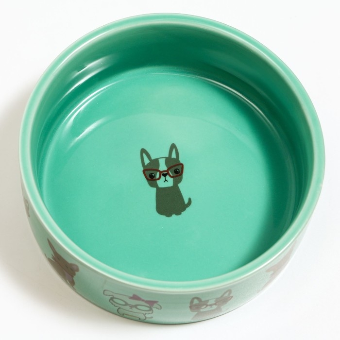 Миска керамическая  Миска керамическая "Важный пес" 250мл, 11,5 х 5 см, мятная