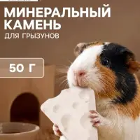 Минеральный камень для грызунов &laquo;Пижон&raquo;, сыр, 50 г