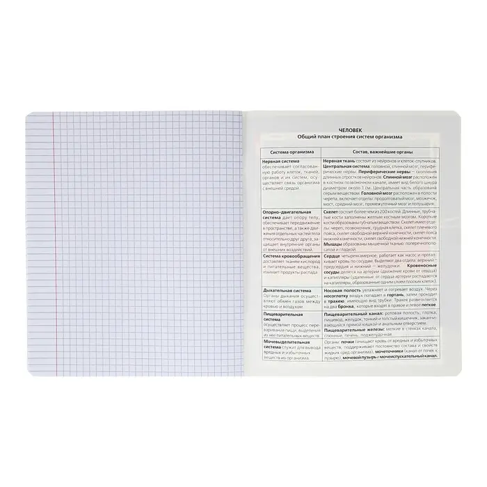 Тетрадь предметная "Следствие ведут ученики", 48 листов в клетку "Биология", обложка мелованный картон, выборочный лак, со справочным материалом