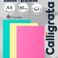 Набор папок-уголков А4, 180 мкм, Calligrata Pastel, полупрозрачные, 3 штуки, микс