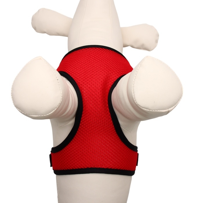 Шлейка мягкая из неопрена, размер L, ОШ 39 см, ОГ 36-46 см, красная Шлейка мягкая из неопрена, размер L, ОШ 39 см, ОГ 36-46 см, красная