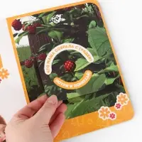 Книга с окошками &laquo;Ароматные стишки&raquo;, 20 стр., Маша и Медведь